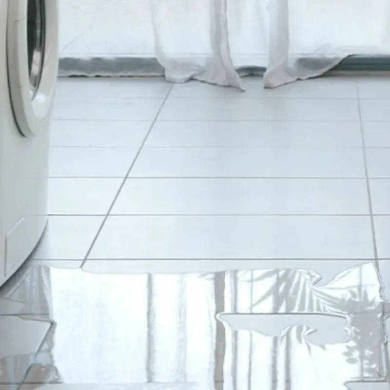 Appliance Leak Cleanup in Hidalgo County, TX