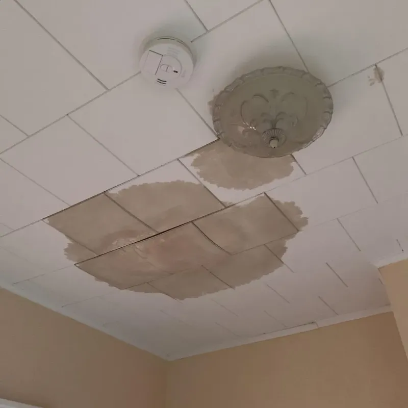 Ceiling Water Damage Repair in Hidalgo County, TX