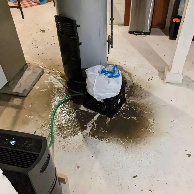 Sewage Backup Cleanup Service in Hidalgo County, TX